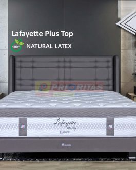 Spring Bed Lafayette Plus Top Latex